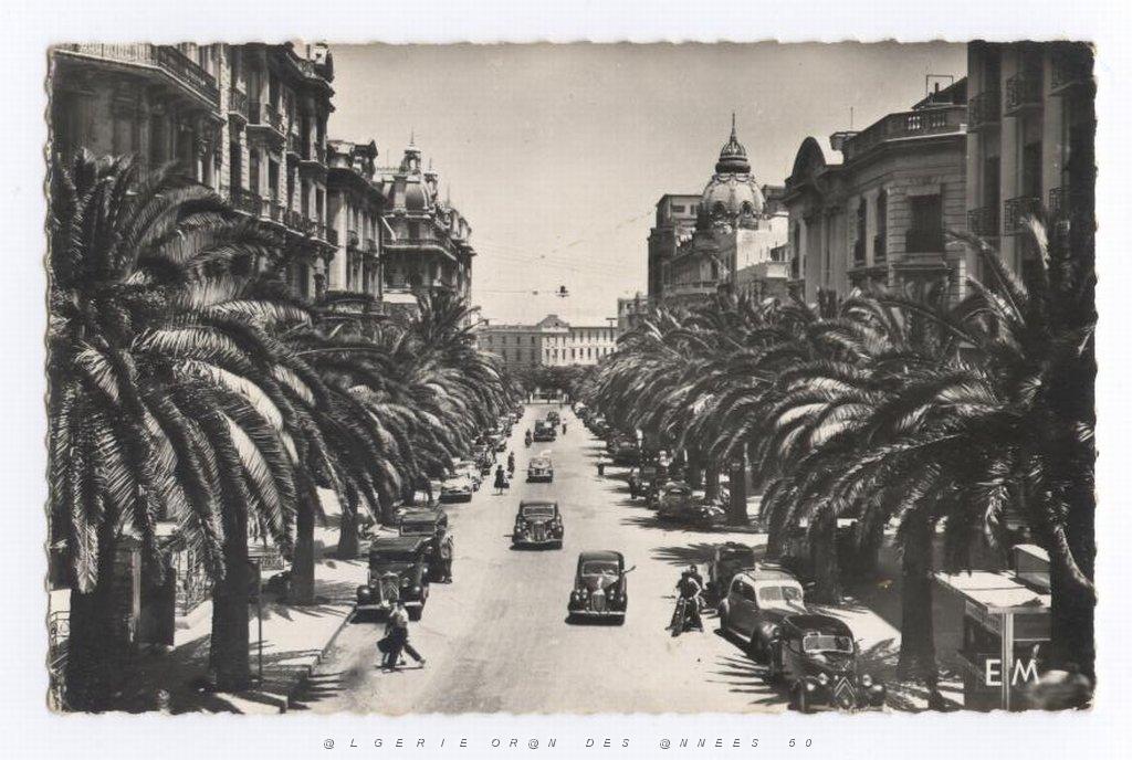 ORAN AVENUE GALLIENI 2.jpg